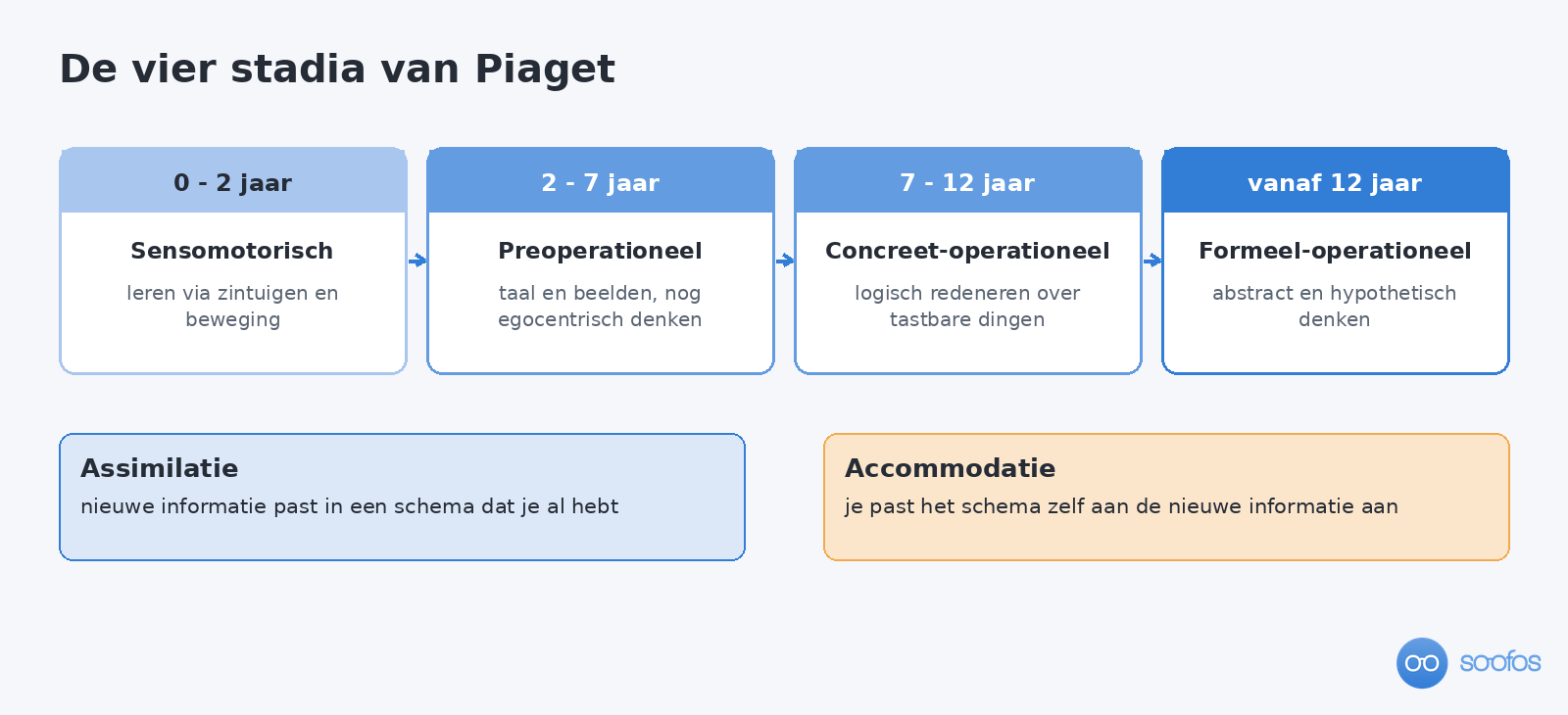 De vier stadia van Piaget met leeftijden en kenmerken, plus twee blokken over assimilatie en accommodatie