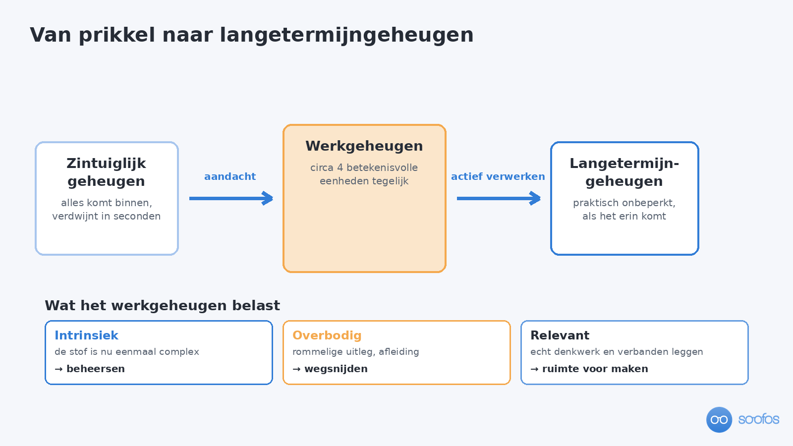 Schema van zintuiglijk geheugen naar werkgeheugen naar langetermijngeheugen, met daaronder de drie soorten cognitieve belasting