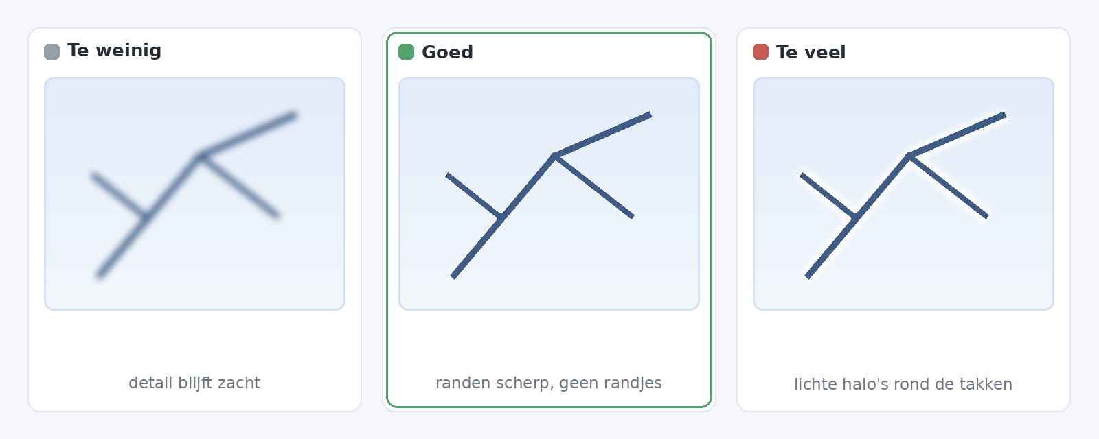 Drie versies van hetzelfde takdetail: te weinig verscherpt en zacht, goed verscherpt, en te veel verscherpt met witte halo's.