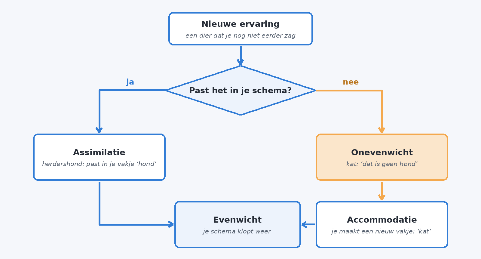 Stroomschema van Piaget: een nieuwe ervaring past in je schema (assimilatie) of niet, waarna onevenwicht leidt tot accommodatie en uiteindelijk een nieuw evenwicht. Voorbeeld met een herdershond en een kat.
