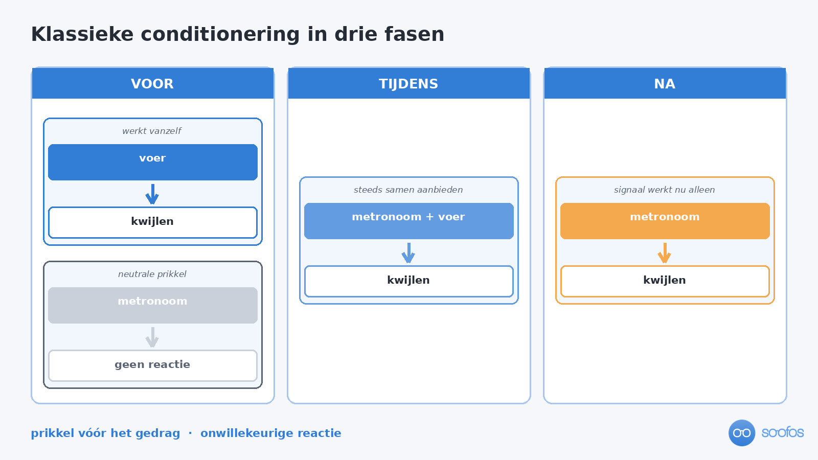 Schema van klassieke conditionering in drie fasen: voor het leren werkt alleen het voer, tijdens het leren worden metronoom en voer samen aangeboden, na het leren roept de metronoom in zijn eentje het kwijlen op.